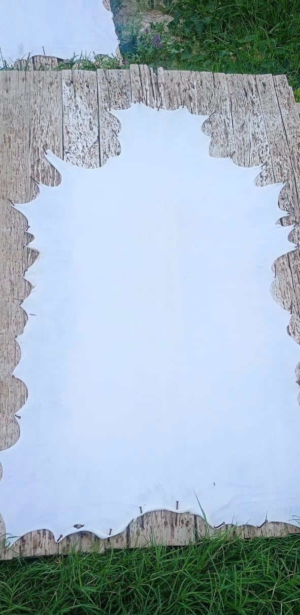 Natural Goatskin Parchment leather, Real Vellum Full Hide