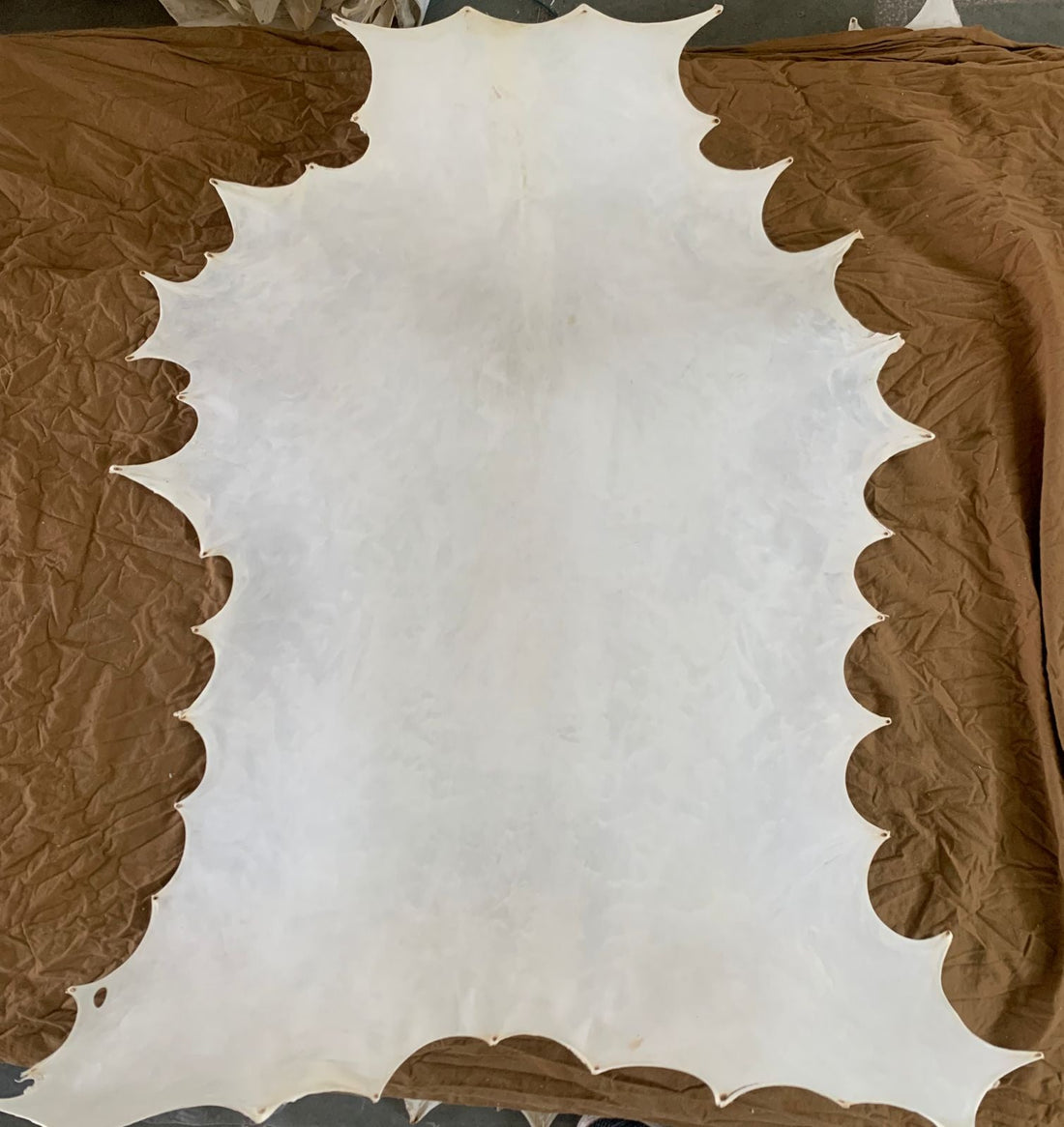Goat Skin Parchment Paper