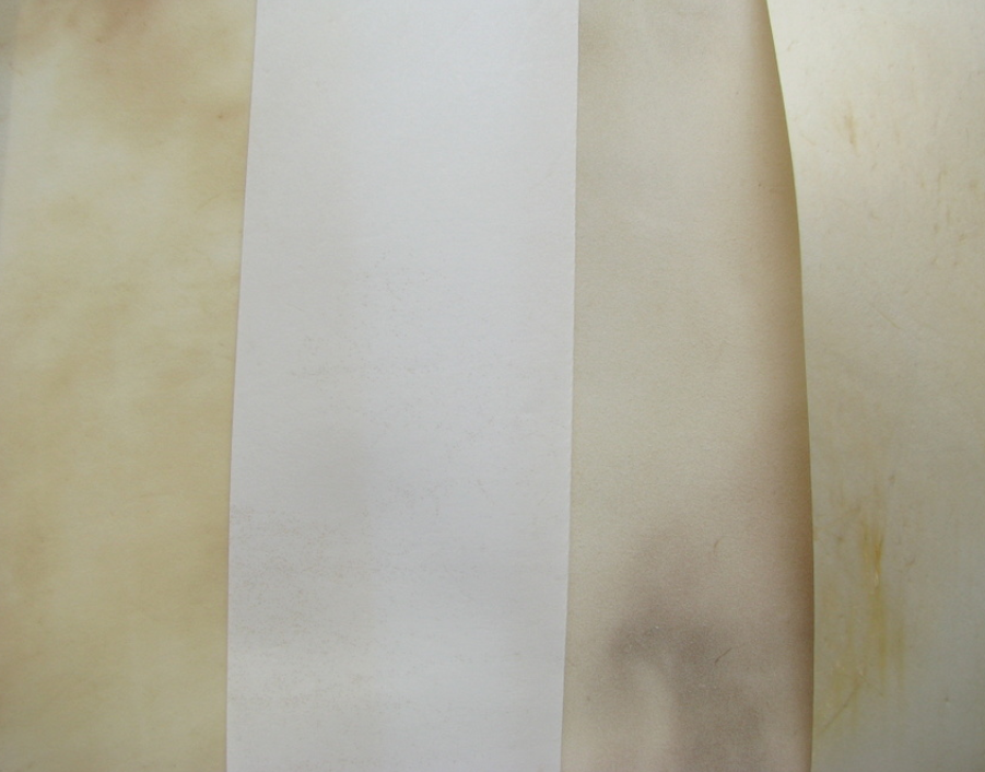 Vellum and Parchment – Premium Writing Materials, History & Modern Uses
