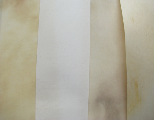 Vellum and Parchment – Premium Writing Materials, History & Modern Uses