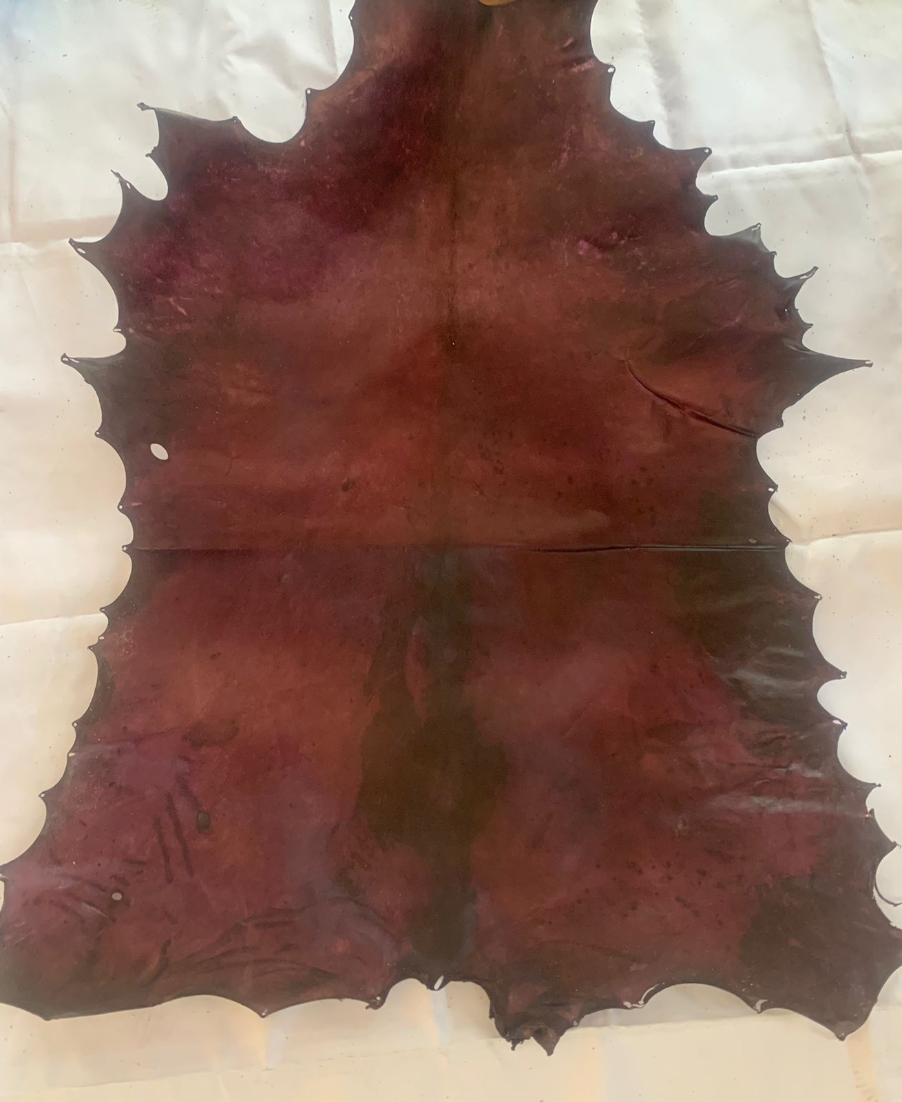 Dyed Parchment Leather Natural Goatskin | Real Colored Vellum Full Hide