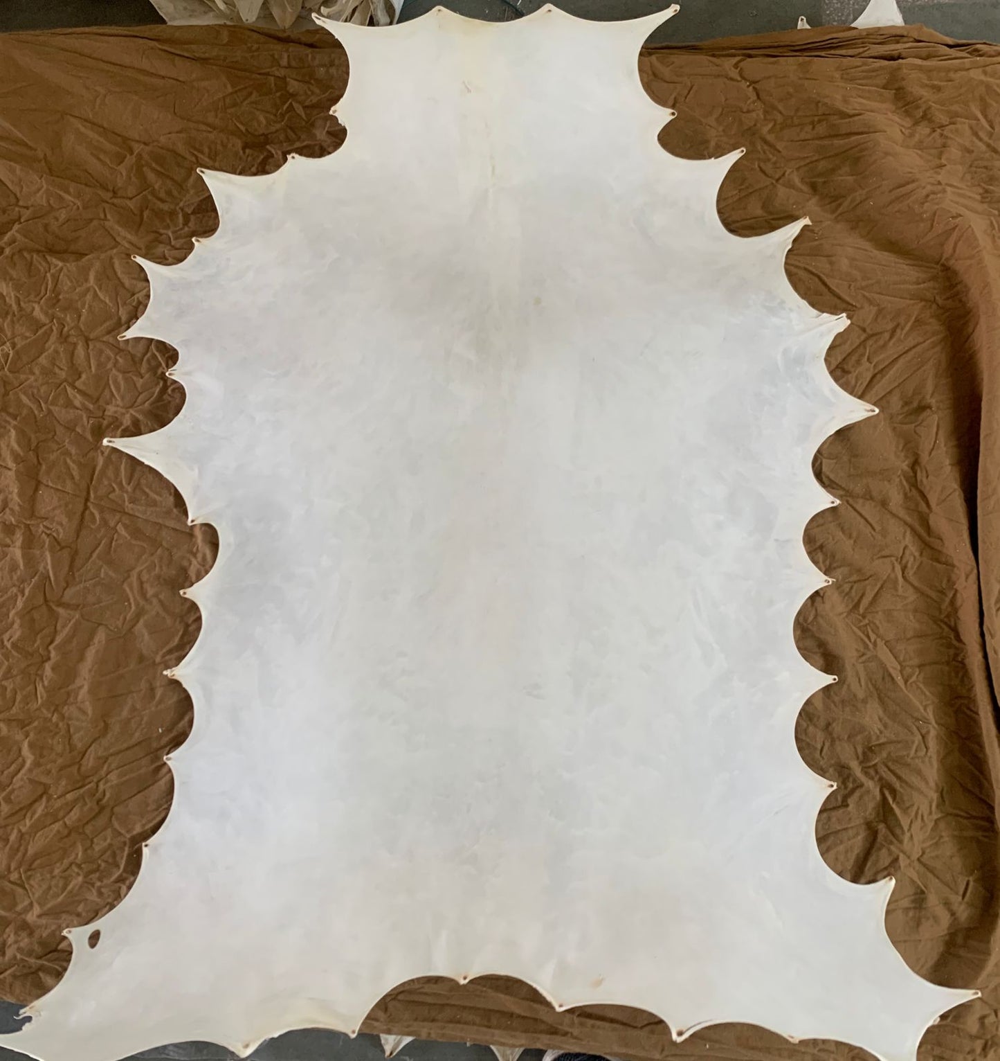 Natural Goatskin Parchment leather Vellum Full Hide