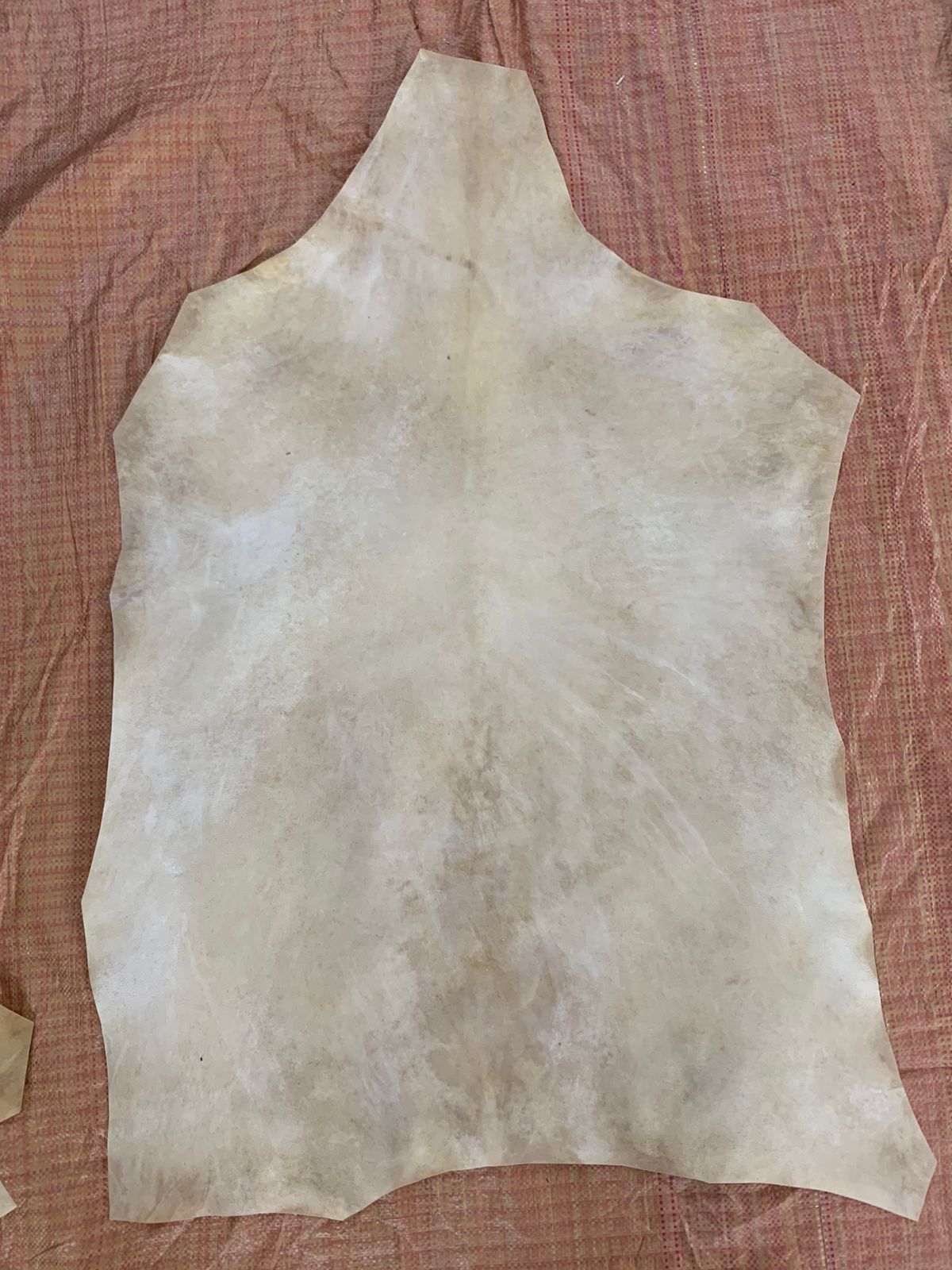 leather parchment
Parchment leather
goat skin parchment
real vellum