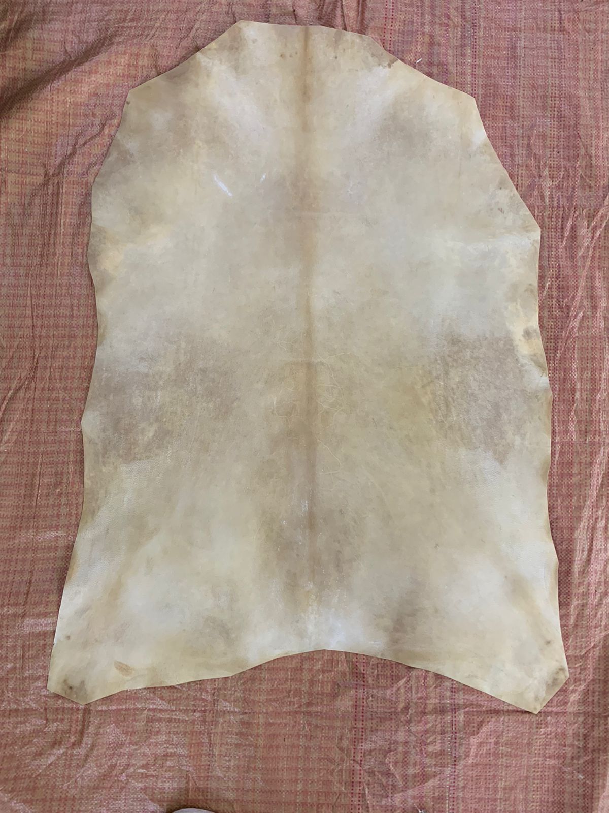 leather parchment
Parchment leather
goat skin parchment
real vellum