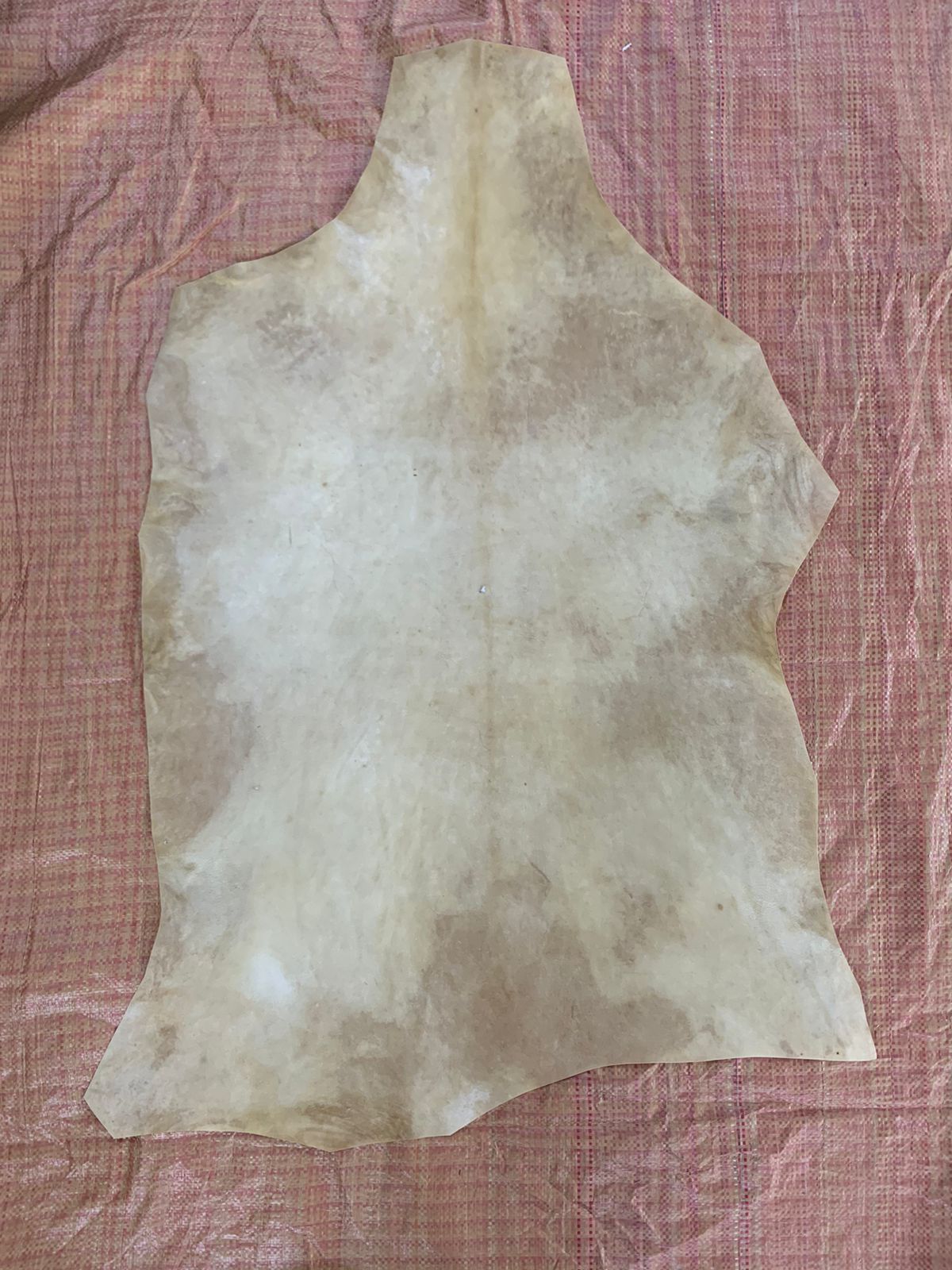 leather parchment
Parchment leather
goat skin parchment
real vellum