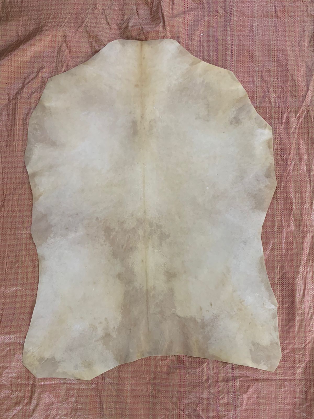 leather parchment
Parchment leather
goat skin parchment
real vellum